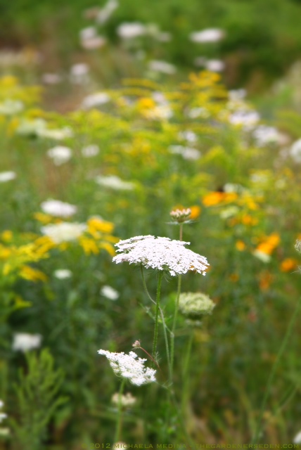 B9EB942D-4B1C-4942-96AA-27BC7D0E25E2