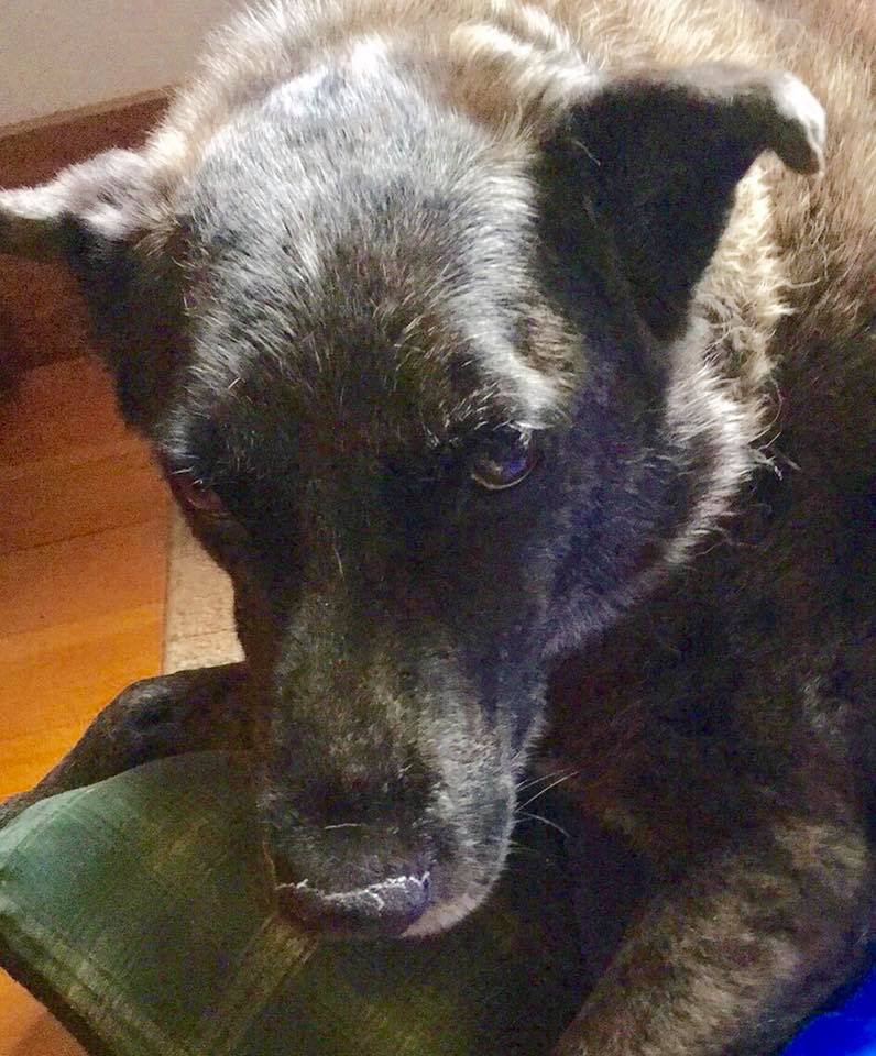 BE7725E6-99C1-47BC-9CF2-6E9FFAFDDC7D